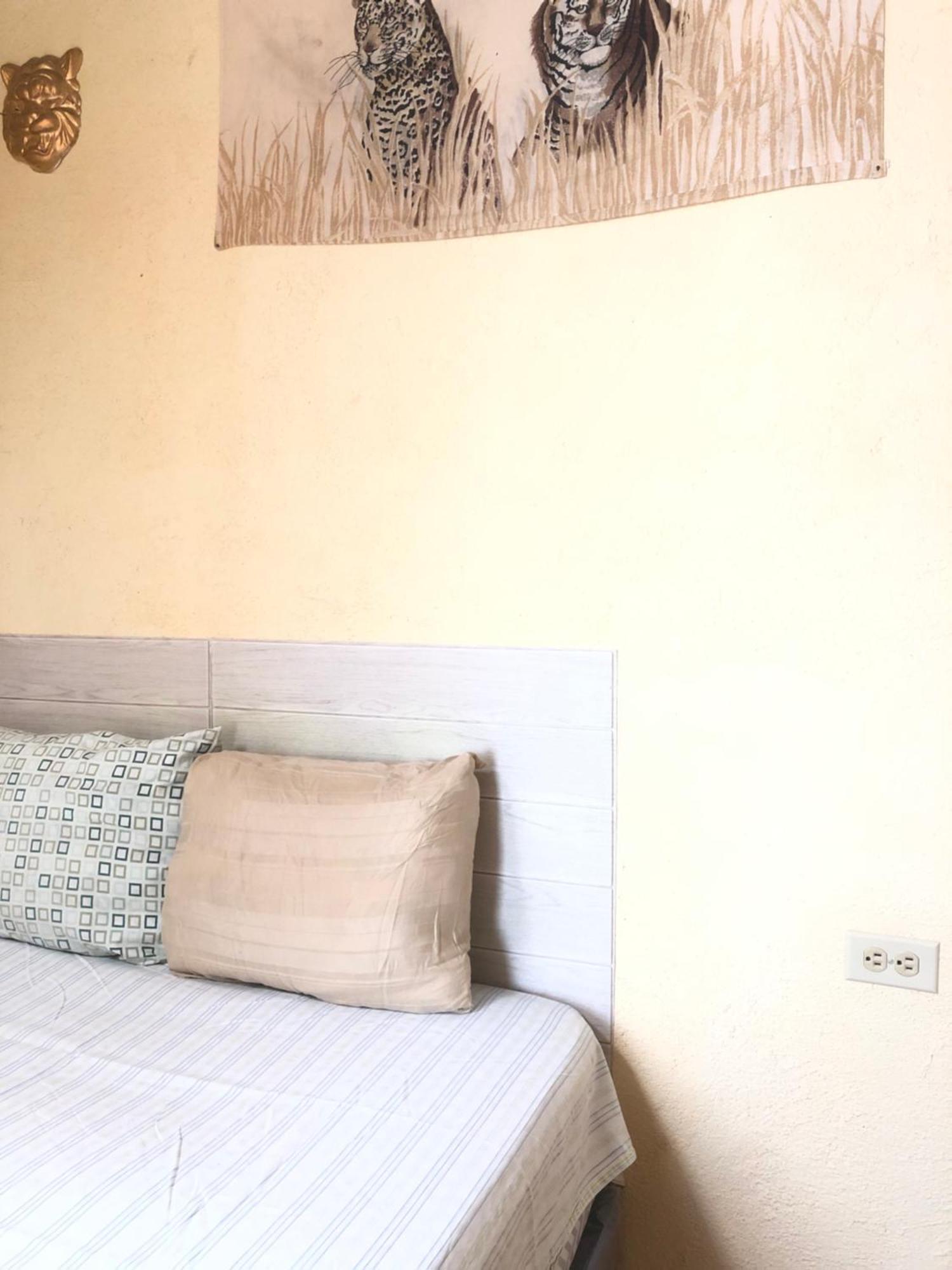 Hospedaje Basico El Jaguar Hotel Antigua Ngoại thất bức ảnh